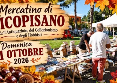 Mercatino d’Autunno a Vicopisano